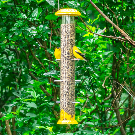 Bottoms Up Metal Thistle Finch Feeder