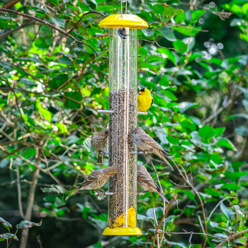 Load image into Gallery viewer, Bottoms Up Metal Thistle Finch Feeder
