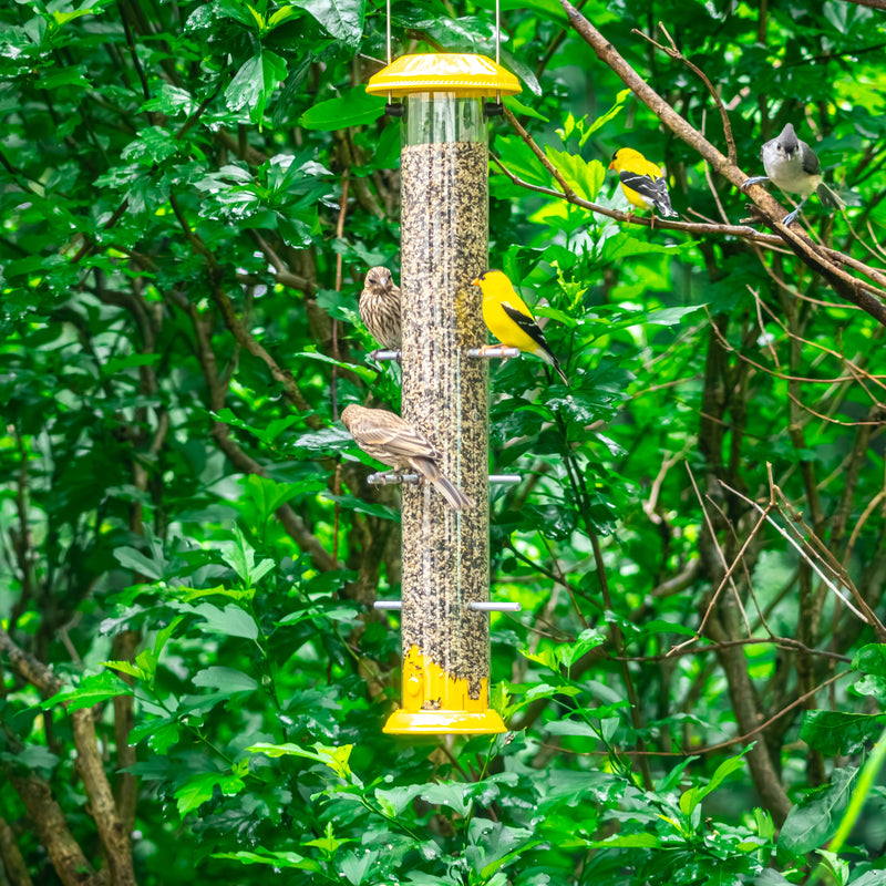 Load image into Gallery viewer, Bottoms Up Metal Thistle Finch Feeder
