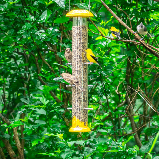 Bottoms Up Metal Thistle Finch Feeder