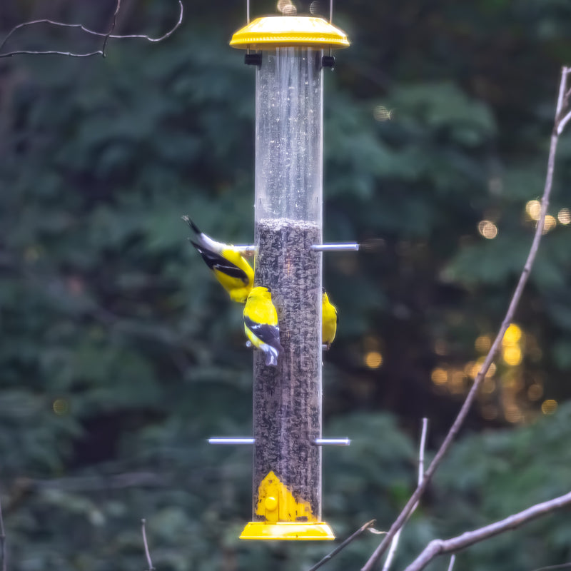 Load image into Gallery viewer, Bottoms Up Metal Thistle Finch Feeder
