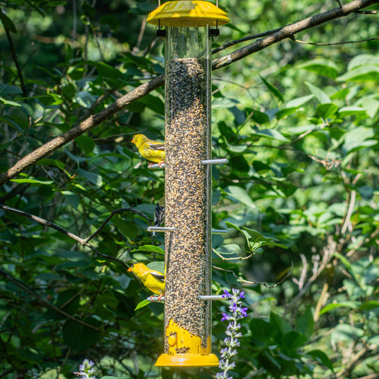 Bottoms Up Metal Thistle Finch Feeder
