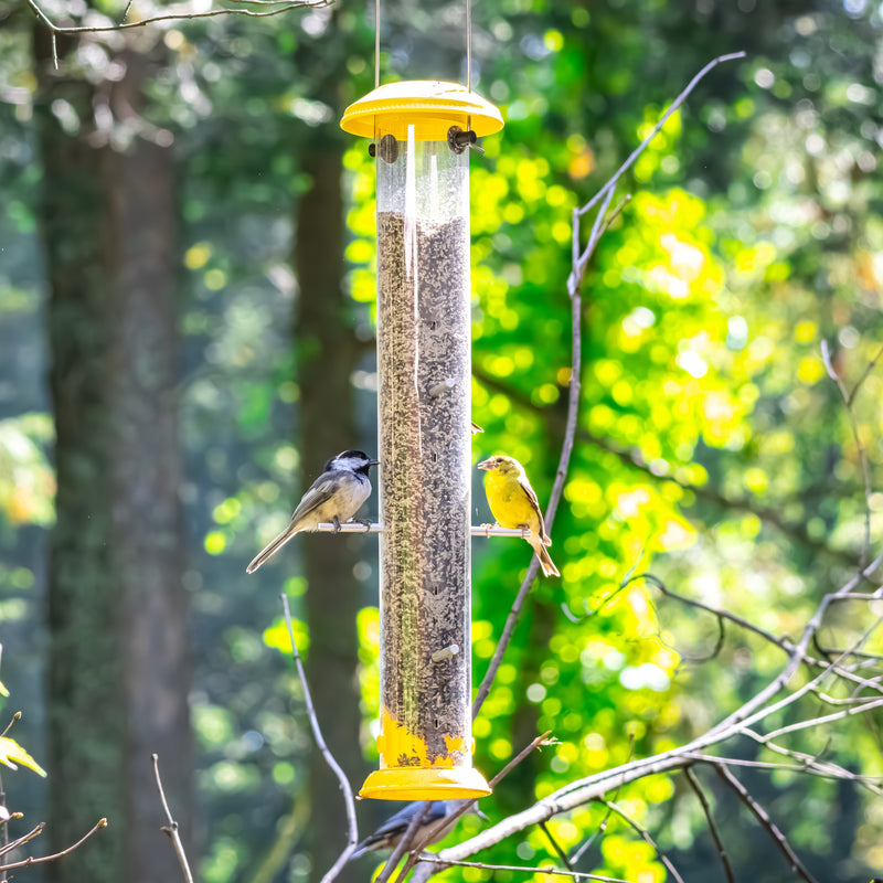 Load image into Gallery viewer, Bottoms-Up Metal Thistle Finch Feeder
