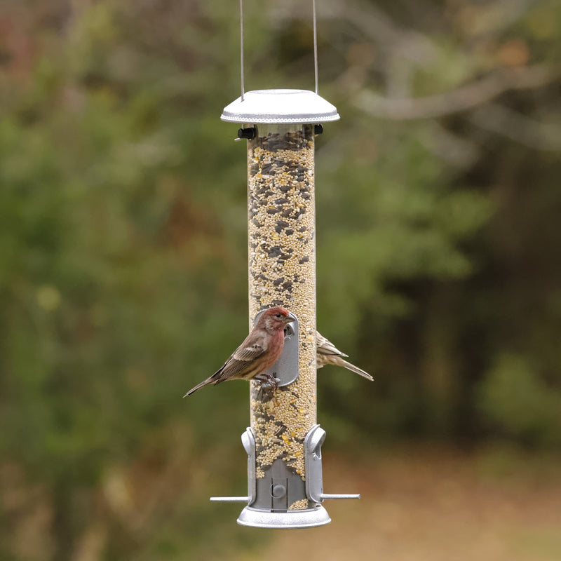 Load image into Gallery viewer, Deluxe Metal Easy Clean Tube Feeder
