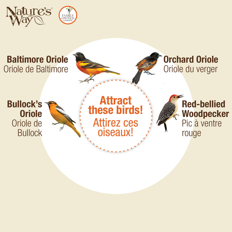 Load image into Gallery viewer, Orange Blossom Glass Oriole Feeder w/ Jelly Attachments
