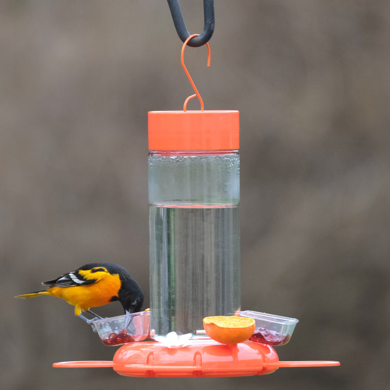 Load image into Gallery viewer, Orange Blossom Glass Oriole Feeder w/ Jelly Attachments
