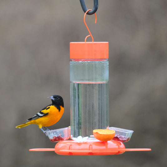 Orange Blossom Glass Oriole Feeder w/ Jelly Attachments
