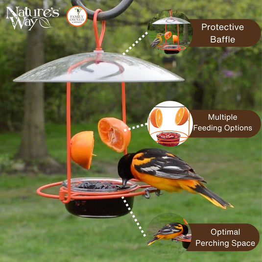 Wire and Glass Oriole Feeder W/ Protective Baffle