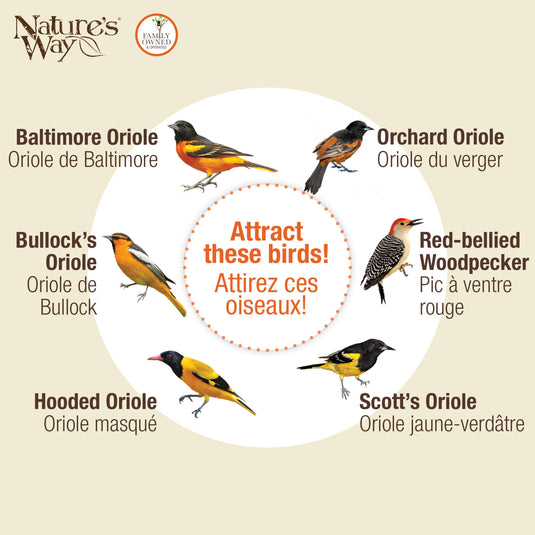 Wire and Glass Oriole Feeder W/ Protective Baffle
