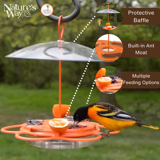 All-In-One Oriole Buffet with Protective Baffle
