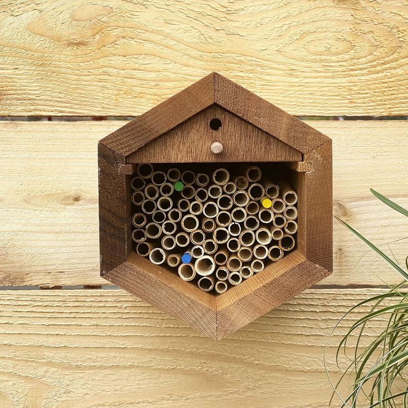 Load image into Gallery viewer, Cabana &amp; Mixed Reeds Bee House
