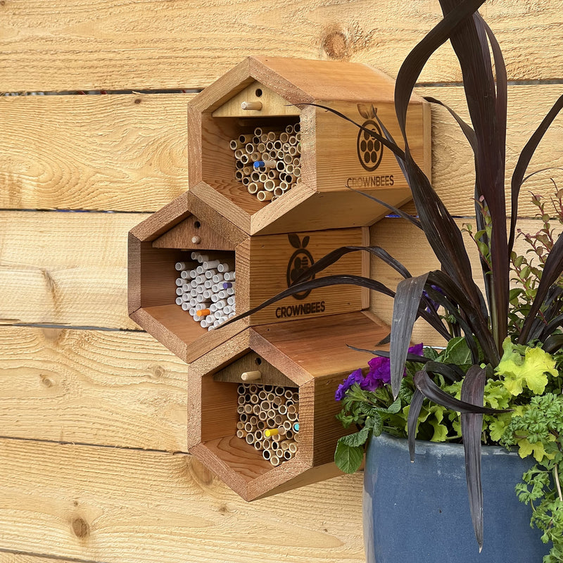Load image into Gallery viewer, Cabana &amp; Mixed Reeds Bee House
