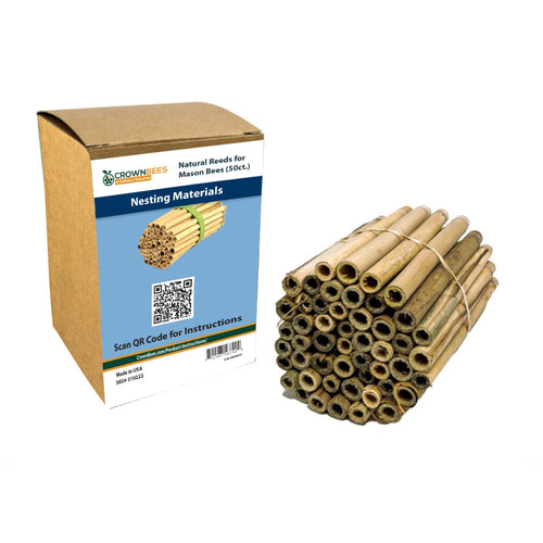 Spring Natural Reeds for Mason Bees - 8mm