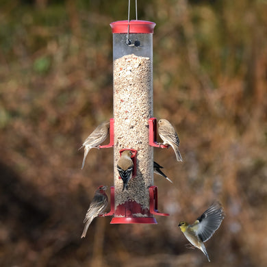 Large Plastic Tube Bird Feeder - Red