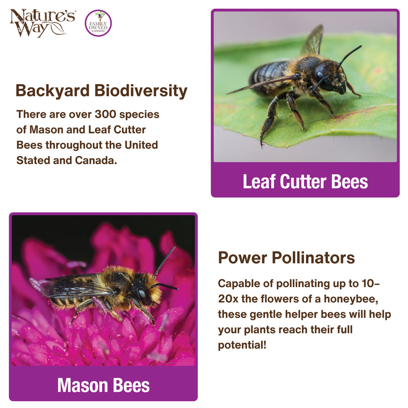 Load image into Gallery viewer, Better Gardens Dual-Chamber Beneficial Insect House - Yellow
