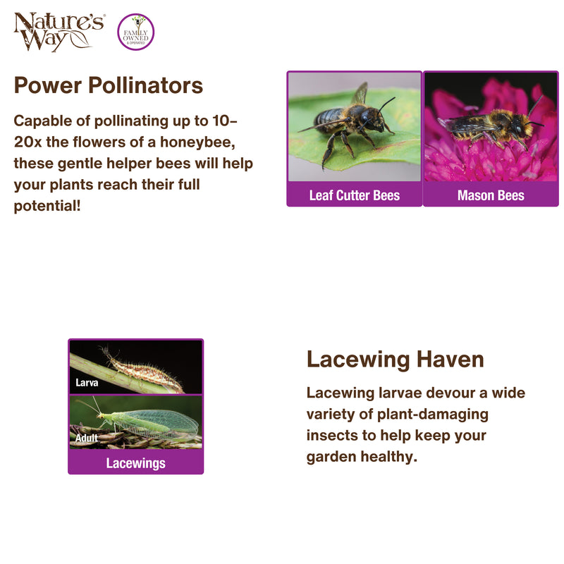 Load image into Gallery viewer, Better Gardens Dual-Chamber Beneficial Insect House - Red
