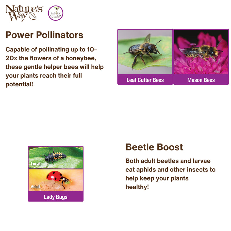 Load image into Gallery viewer, Better Gardens Dual-Chamber Beneficial Insect House - Green
