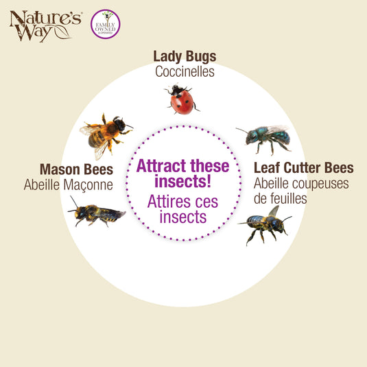 Better Gardens Dual-Chamber Beneficial Insect House - Green