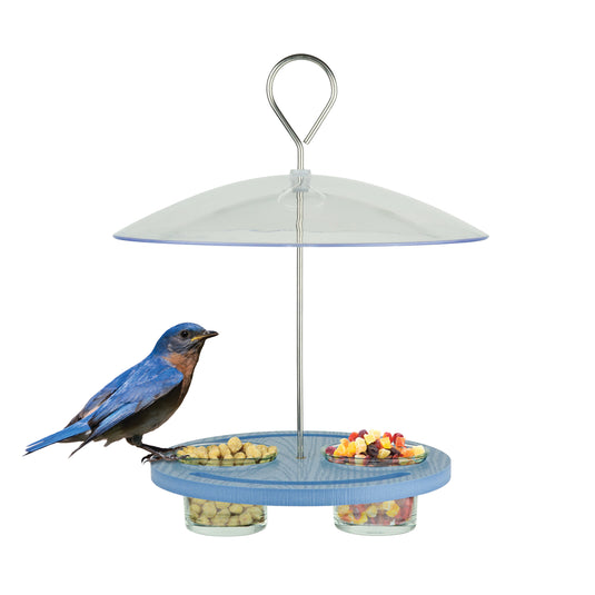 Bluebird Bistro Recycled Plastic Bird Feeder