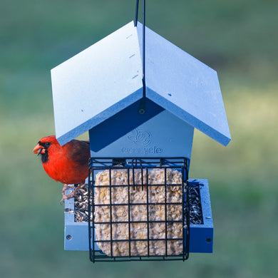 Hopper Hangout Recycled Plastic Hopper Bird Feeder w/ Suet Cages
