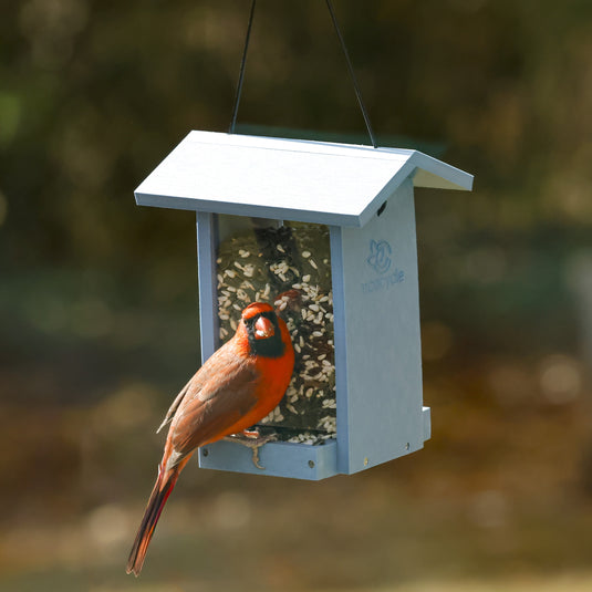 Tasty Tidbit Recycled Plastic Bird Feeder