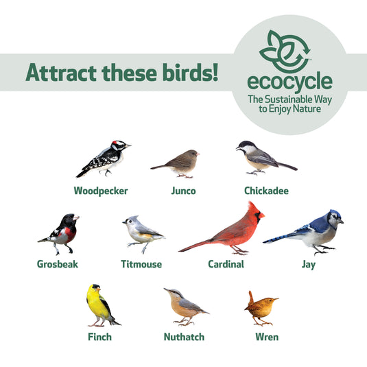 Tasty Tidbit Recycled Plastic Bird Feeder