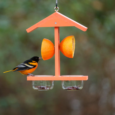Citrus Sampler Recycled Plastic Orange and Jelly Oriole Bird Feeder