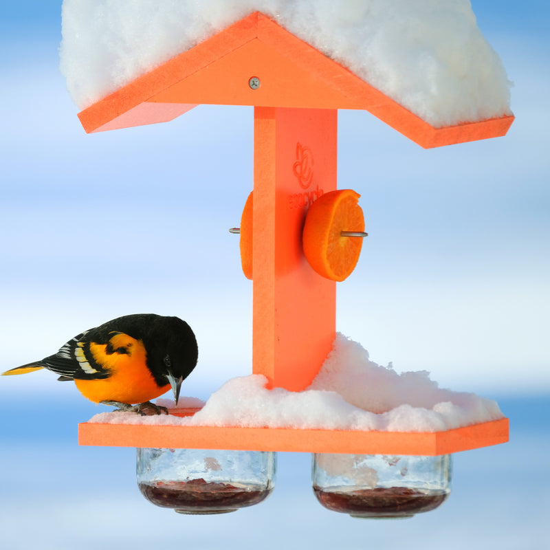 Load image into Gallery viewer, Citrus Sampler Recycled Plastic Orange and Jelly Oriole Bird Feeder
