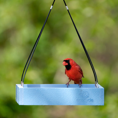 Perfect Picnic Recycled Plastic Bird Feeder