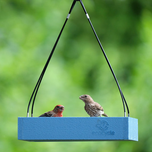 Perfect Picnic Recycled Plastic Bird Feeder