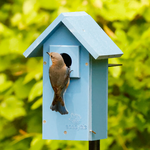 Bluebird Bungalow Recycled Plastic Bird House