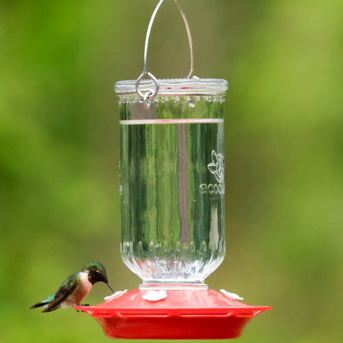 Ruby Roost Recycled Glass Hummingbird Feeder
