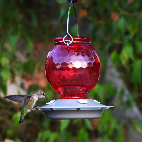 Crimson Comb Recycled Glass Hummingbird Feeder