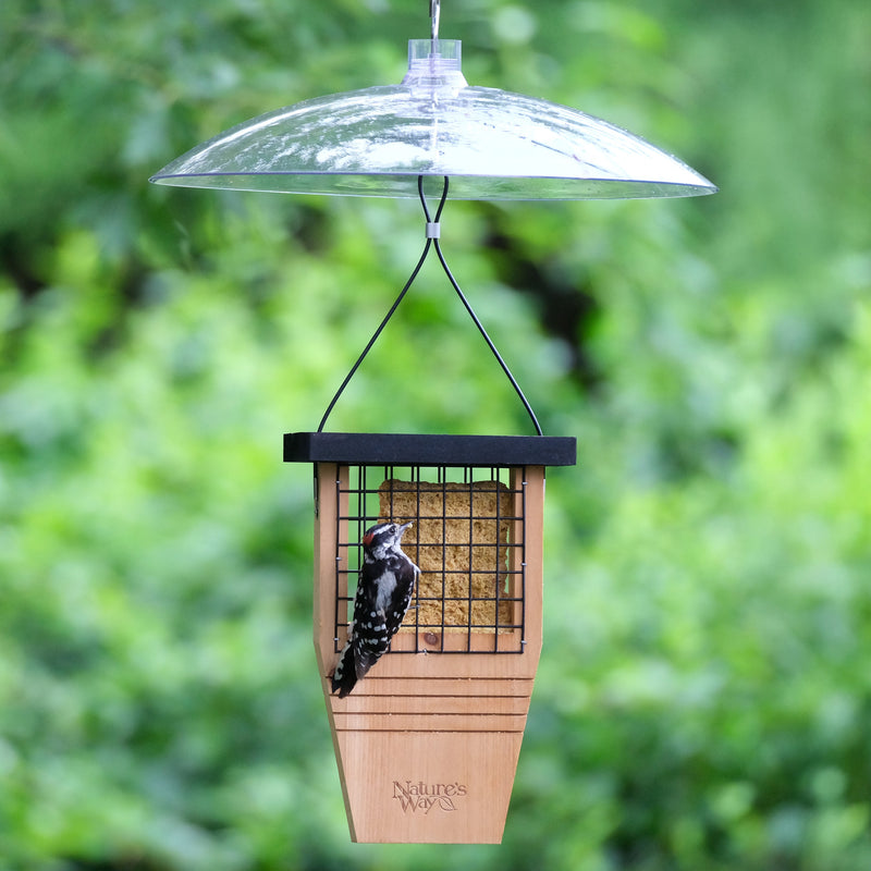 Load image into Gallery viewer, Squirrel Shield 16-inch Dual-Mount Transparent Squirrel Baffle
