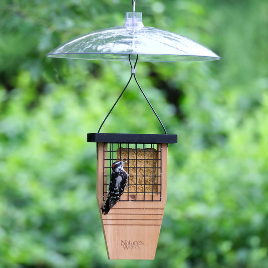 Squirrel Shield 16-inch Dual-Mount Transparent Squirrel Baffle