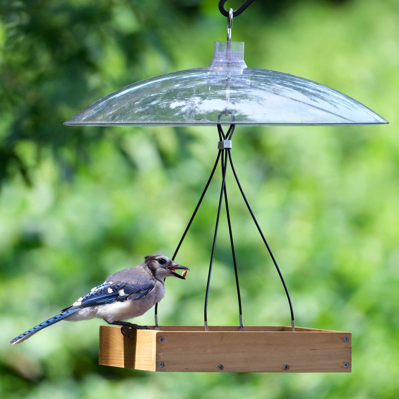 Load image into Gallery viewer, Squirrel Shield 16-inch Dual-Mount Transparent Squirrel Baffle
