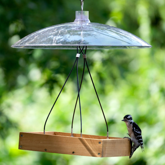 Squirrel Shield 16-inch Dual-Mount Transparent Squirrel Baffle