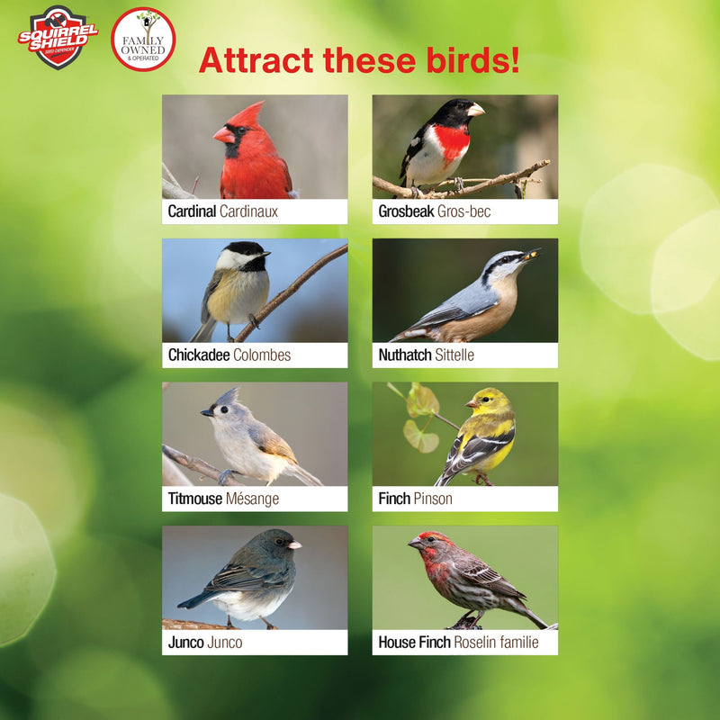 Load image into Gallery viewer, Squirrel Shield Advantage Cage Feeder
