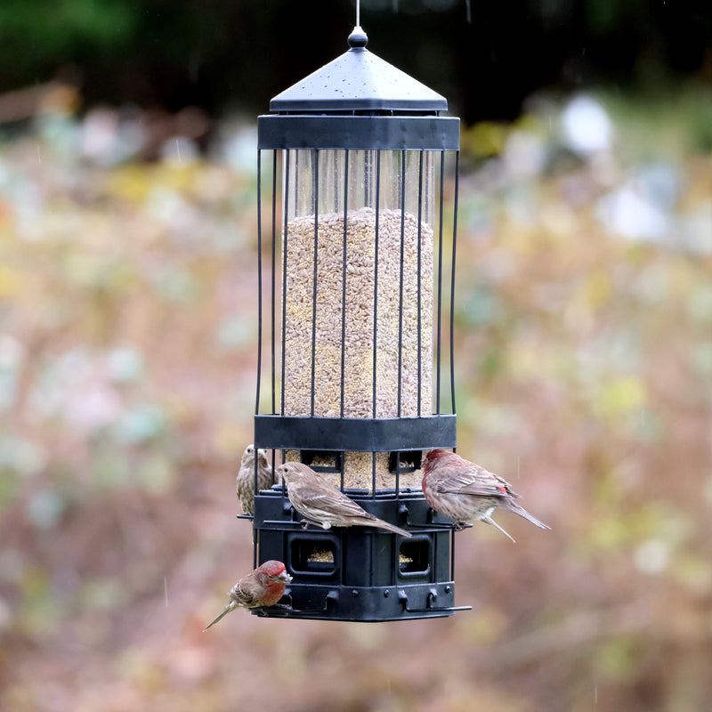 Load image into Gallery viewer, Squirrel Shield Advantage Cage Feeder
