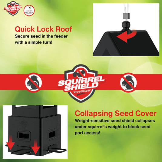 Squirrel Shield Choice Lantern Feeder