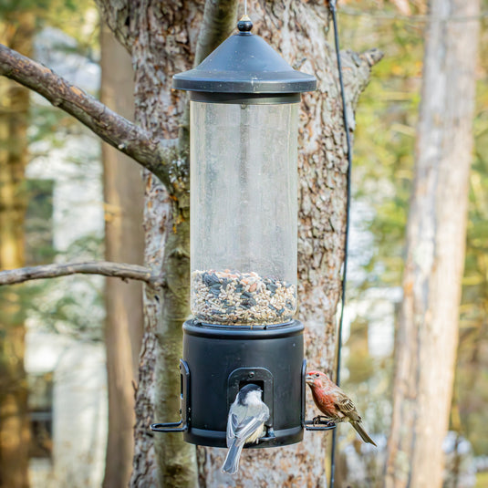 Squirrel Shield Choice Tube Feeder