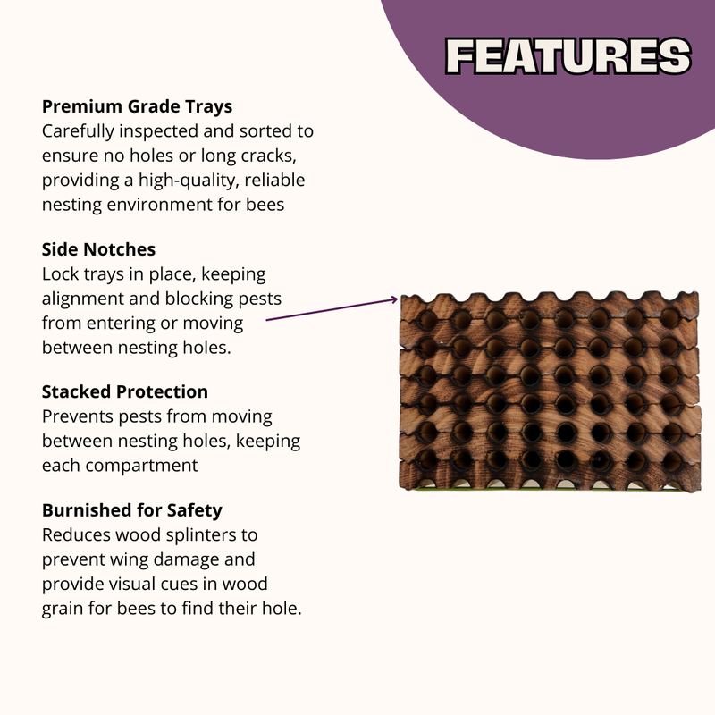 Load image into Gallery viewer, Spring Reusable Wood Trays for Mason Bees - 8mm
