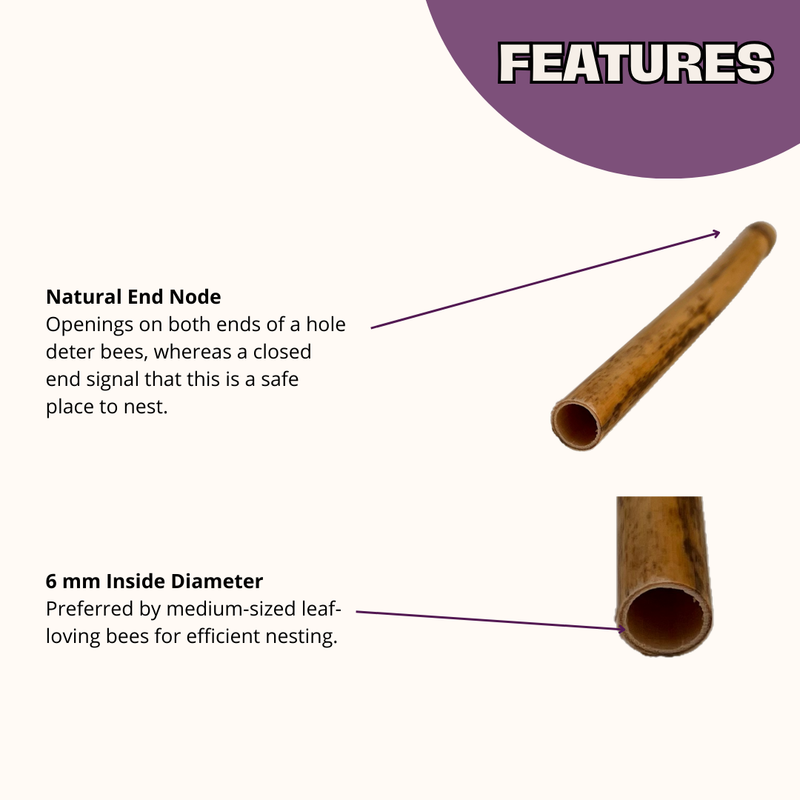 Load image into Gallery viewer, Summer Natural Reeds for Summer Leaf Bees - 6mm
