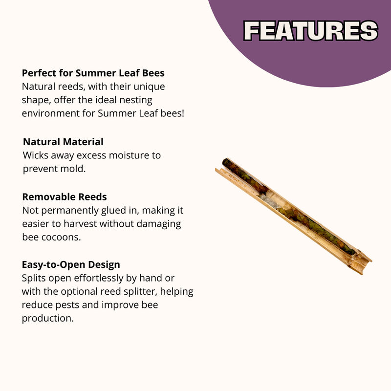 Load image into Gallery viewer, InvitaBee Summer Leaf Bee Attractant
