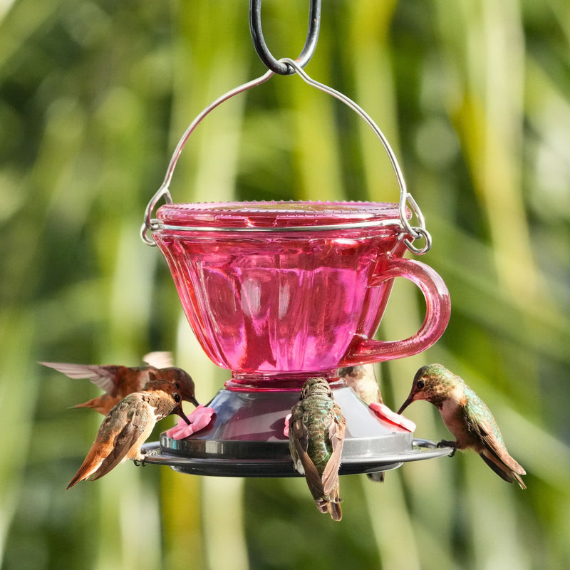 Load image into Gallery viewer, Sweet Sipper Teacup Glass Hummingbird Feeder, 11 oz, Plum

