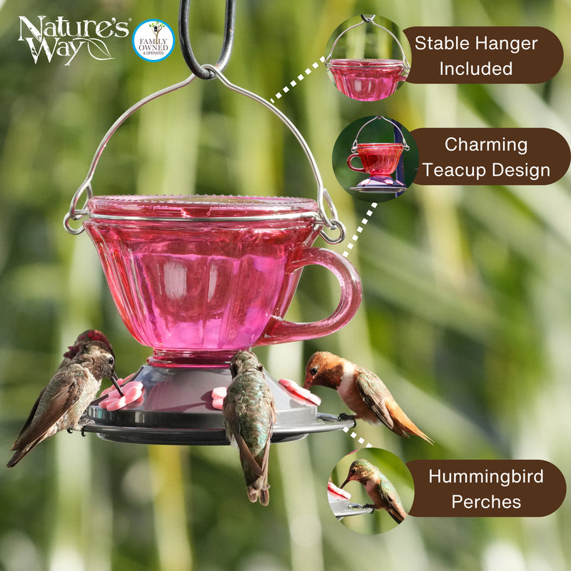 Load image into Gallery viewer, Sweet Sipper Teacup Glass Hummingbird Feeder, 11 oz, Plum
