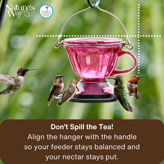 Sweet Sipper Teacup Glass Hummingbird Feeder, 11 oz, Plum