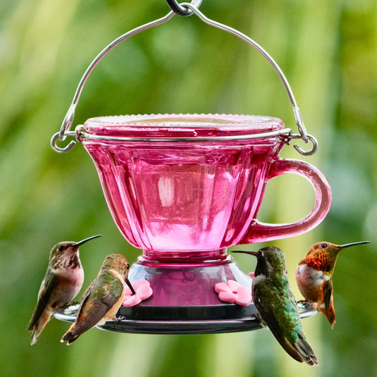 Sweet Sipper Teacup Glass Hummingbird Feeder, 11 oz, Plum