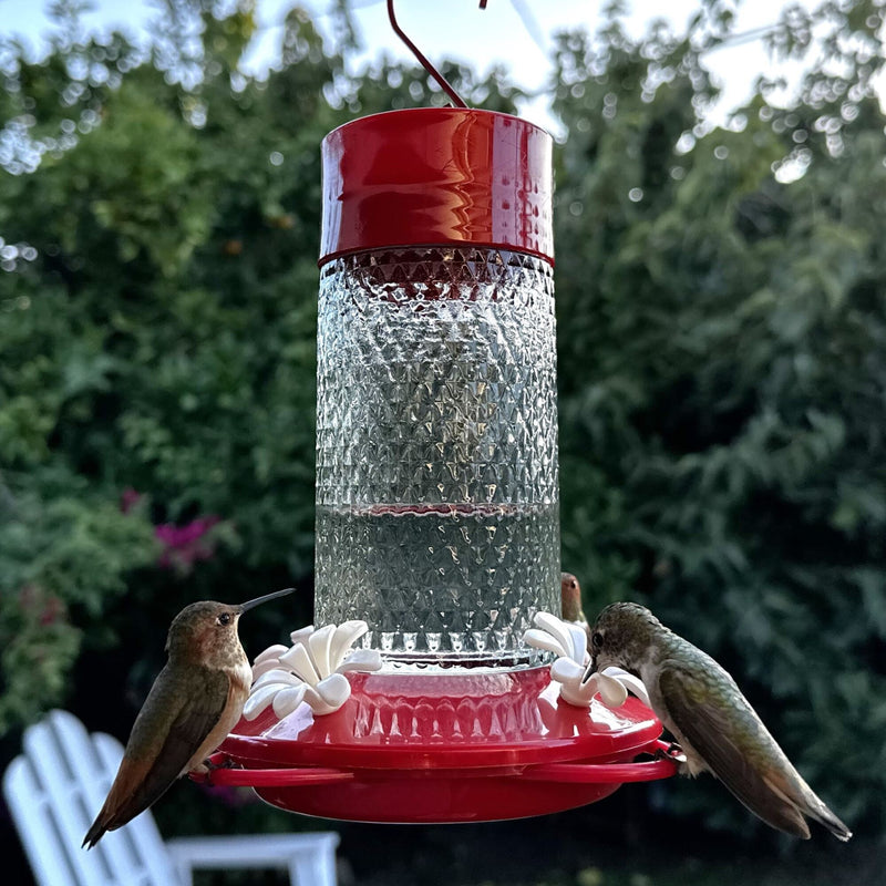 Load image into Gallery viewer, Charming Cherry Glass Gravity Hummingbird Feeder
