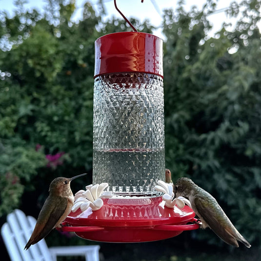 Charming Cherry Glass Gravity Hummingbird Feeder